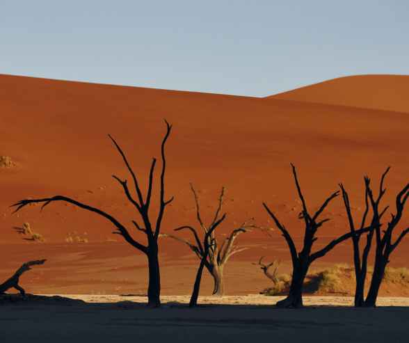 Symptoms of dry mouth